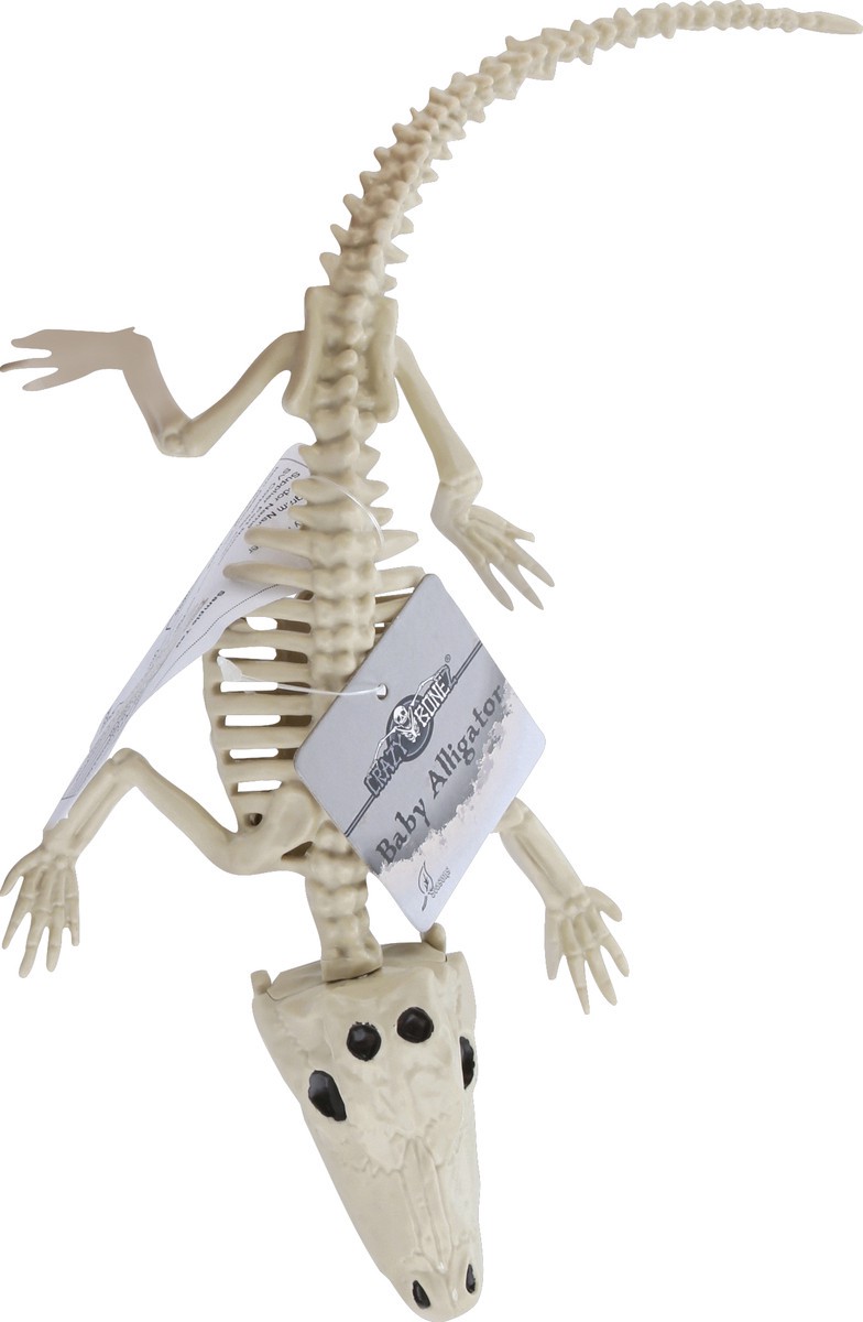 slide 8 of 8, Crazy Bonez Skeleton, Baby Alligator, 1 ct