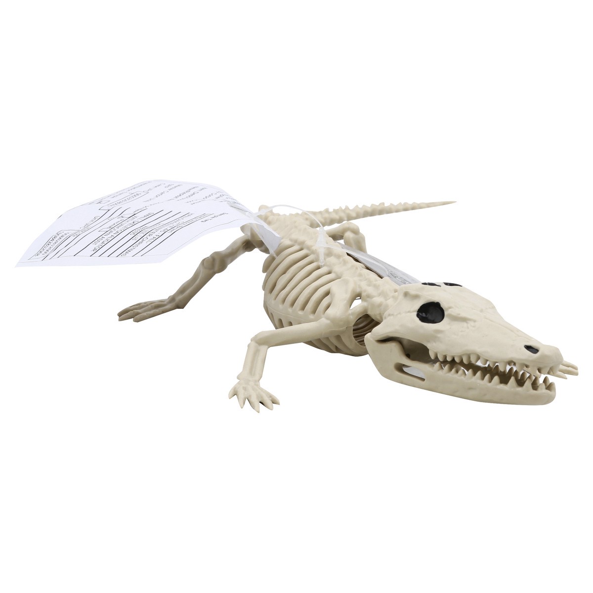 slide 6 of 8, Crazy Bonez Skeleton, Baby Alligator, 1 ct