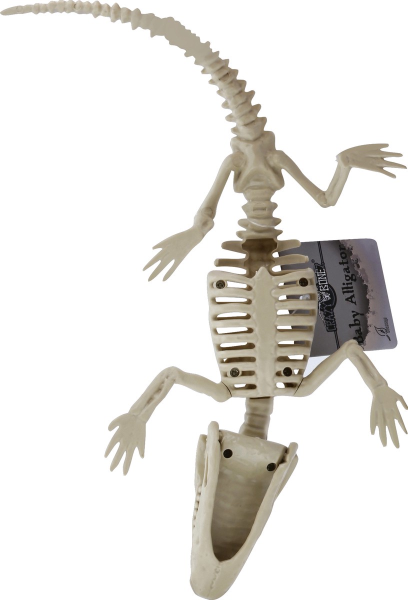 slide 5 of 8, Crazy Bonez Skeleton, Baby Alligator, 1 ct