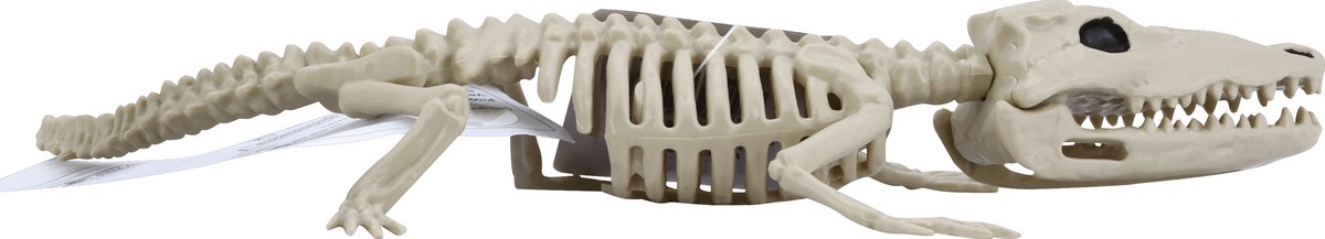 slide 4 of 8, Crazy Bonez Skeleton, Baby Alligator, 1 ct