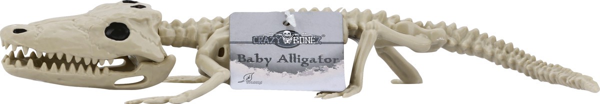 slide 2 of 8, Crazy Bonez Skeleton, Baby Alligator, 1 ct
