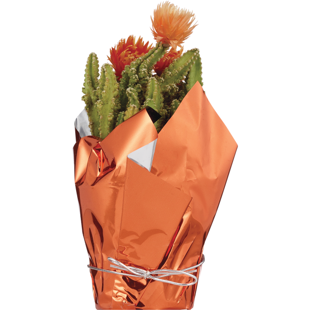 slide 1 of 1, Fairy Castle Flwr, 1 ct