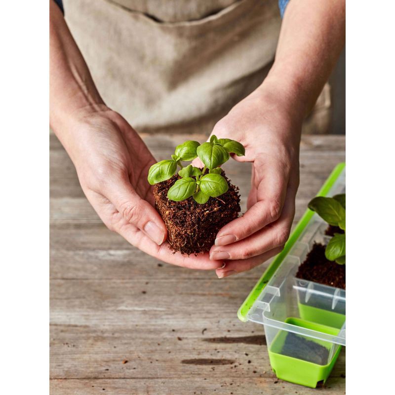 slide 6 of 7, Burpee Superseed Pop-Out Reusable Seed Starting Tray, 1 ct