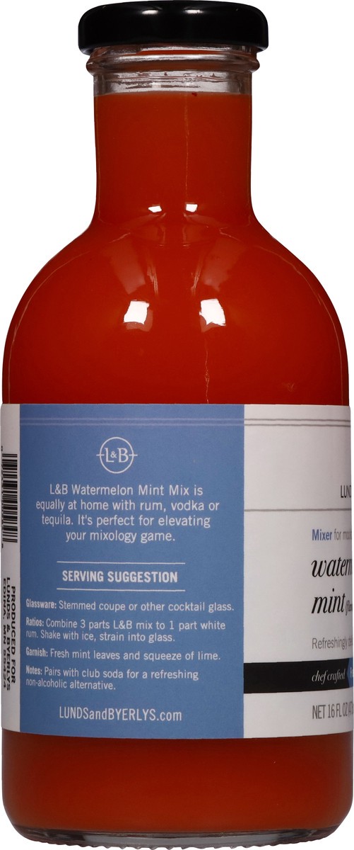 slide 9 of 13, Lunds & Byerlys Watermelon Mint Mixer 16 fl oz, 16 fl oz