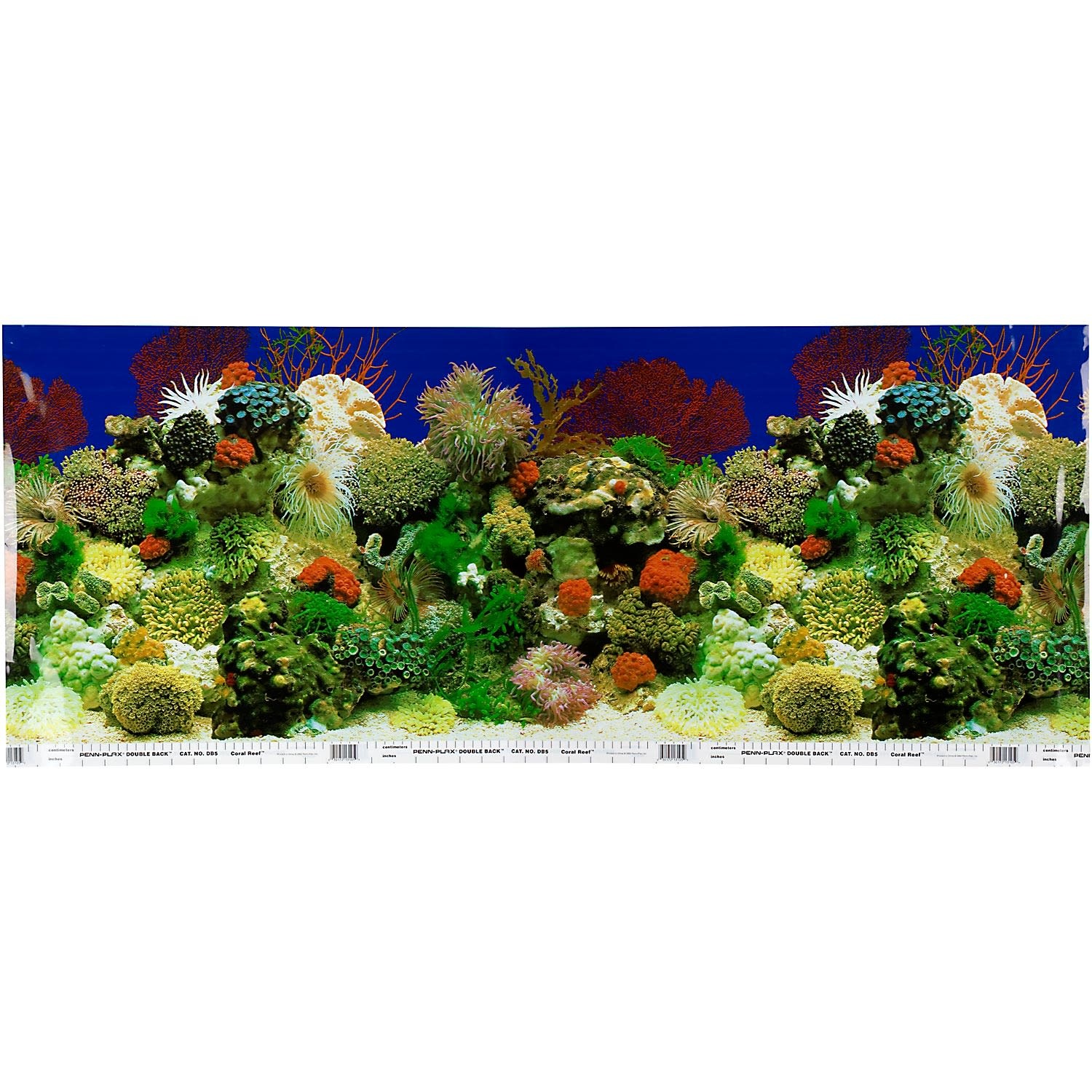 slide 1 of 1, Petco Double Sided Coral and Rainforest Aquarium Background, 1 ct