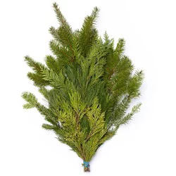 BLOOMS by H-E-B Christmas Greenery