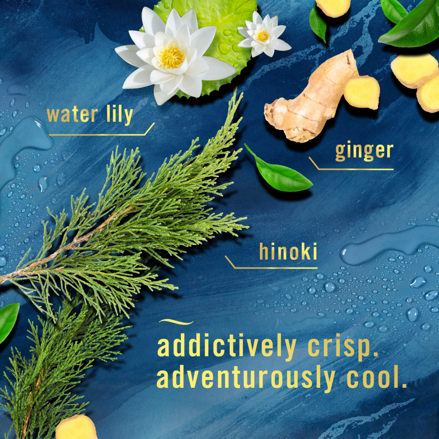 slide 5 of 8, Febreze Plug In Air Freshener, Odor-Fighting Scented Oil Starter Kit, Ocean, Warmer + 1 Refill, 0.87 fl oz