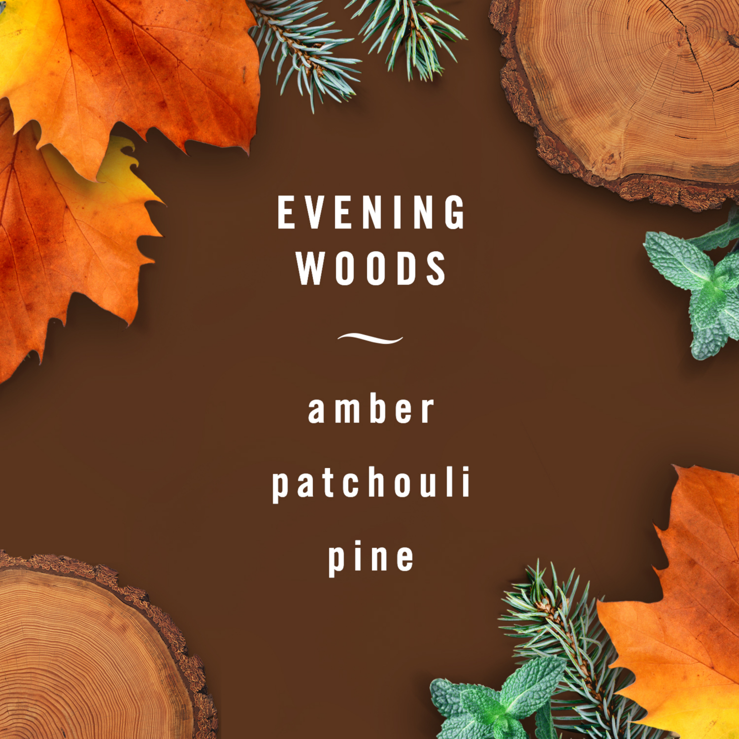 slide 3 of 8, Febreze Auto Vent Clip Evening Woods Air Freshener 0.06 fl oz, 0.06 fl oz