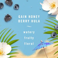 slide 6 of 25, Febreze Honey Berry Hula Air Freshener with Gain Scent, 8.8 fl oz