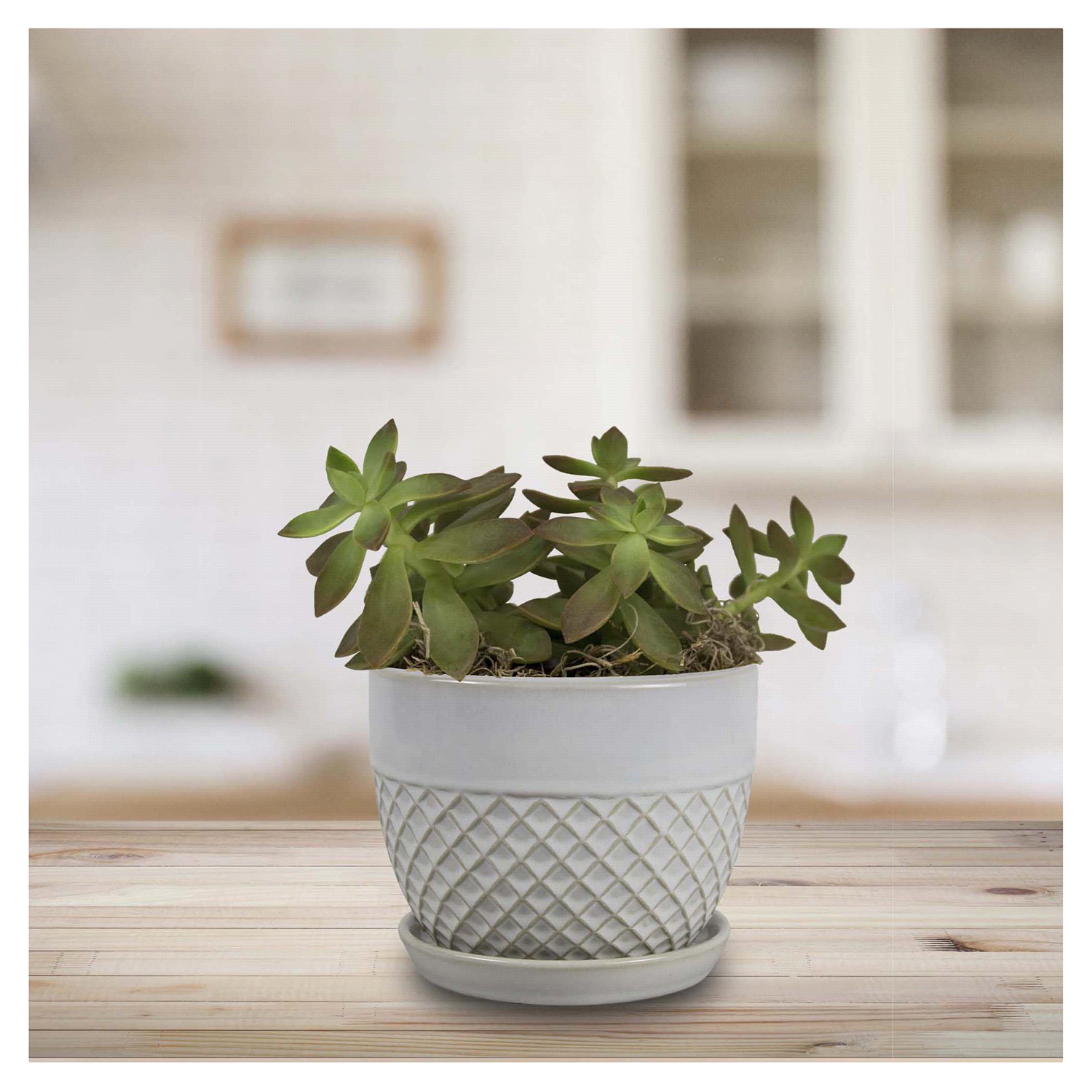 slide 2 of 2, 6" Acorn BellWhite, 6 in