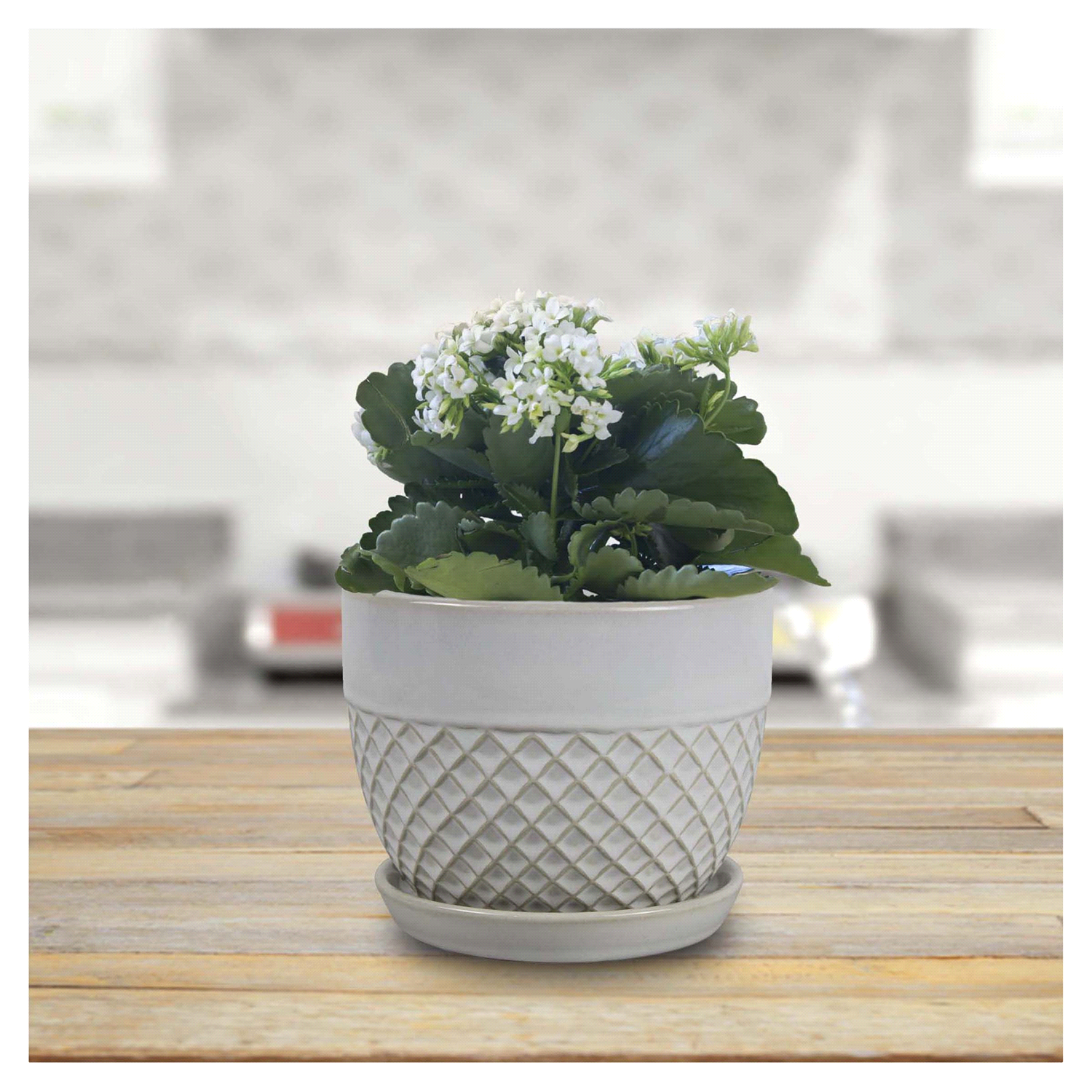 slide 2 of 2, Trendspot 8IN Acorn Bell White Ceramic Planter, 8 in