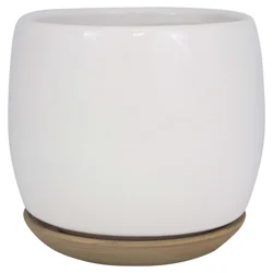 Trendspot Ibiza Ceramic Planter, White, 6 in