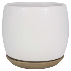 Trendspot Ibiza Ceramic Planter, White, 8 in