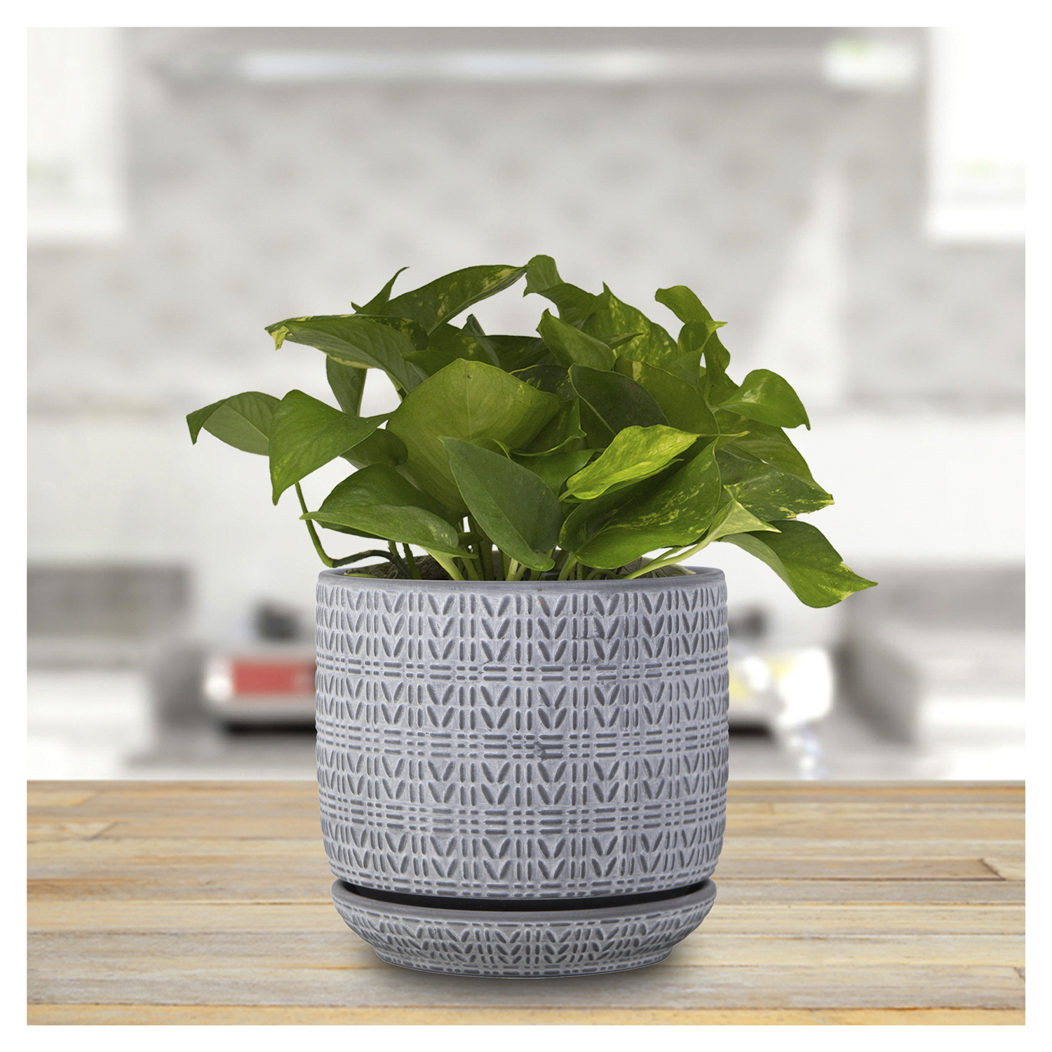 slide 2 of 2, Trendspot Ropecraft Ceramic Planter, Grey, 8 in, 1 ct