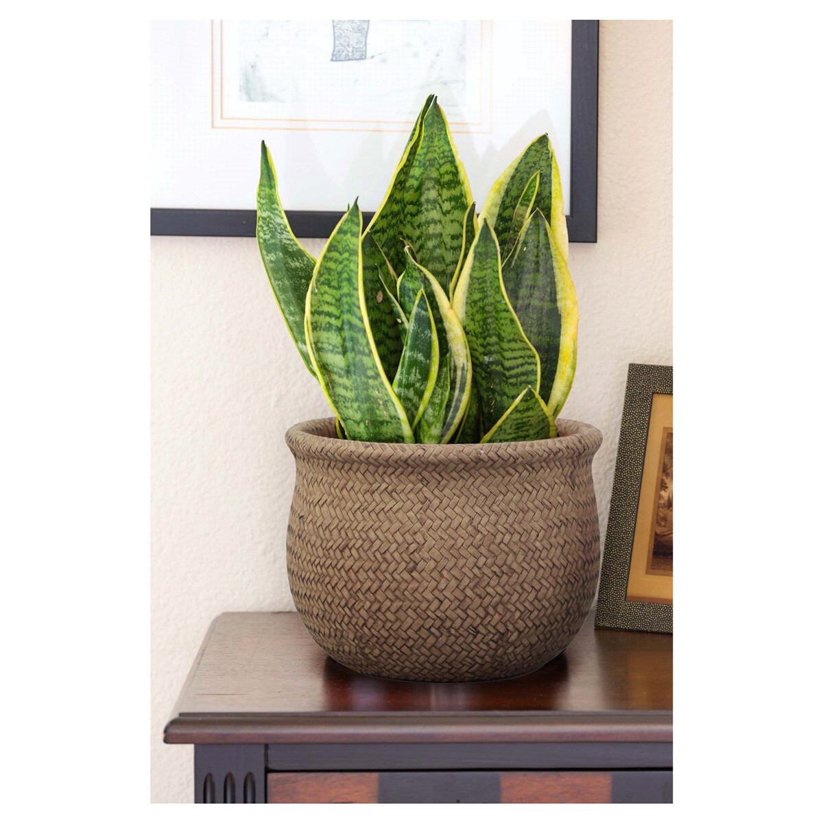 slide 2 of 2, Trendspot 10in Weft Jute Planter, 10 in