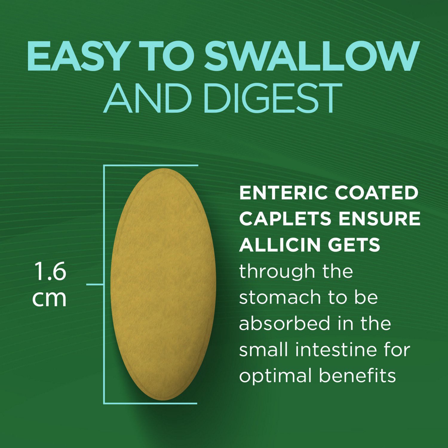 slide 4 of 9, Garlique Healthy Blood Sugar Formula 60 Caplets, 60 ct