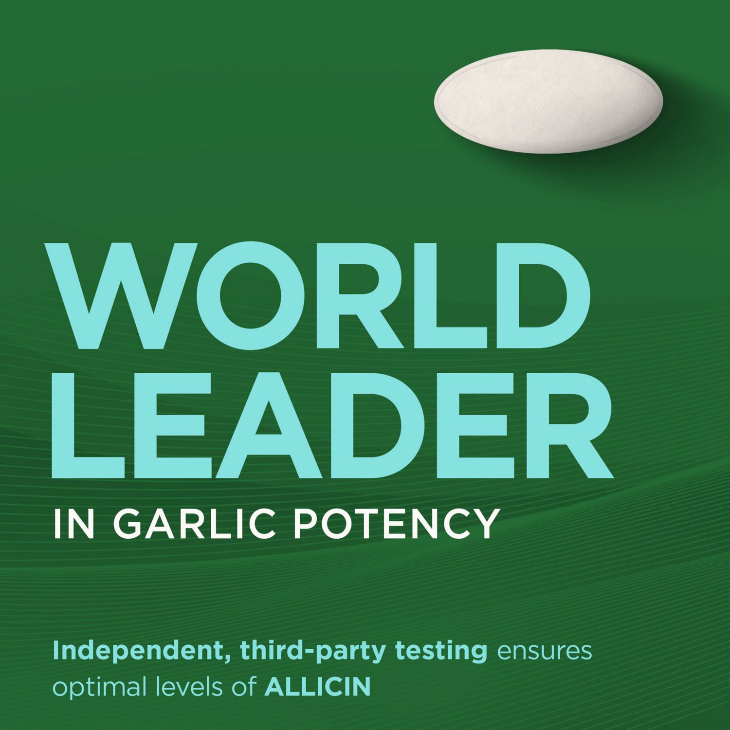 slide 9 of 9, Garlique Healthy Blood Sugar Formula 60 Caplets, 60 ct