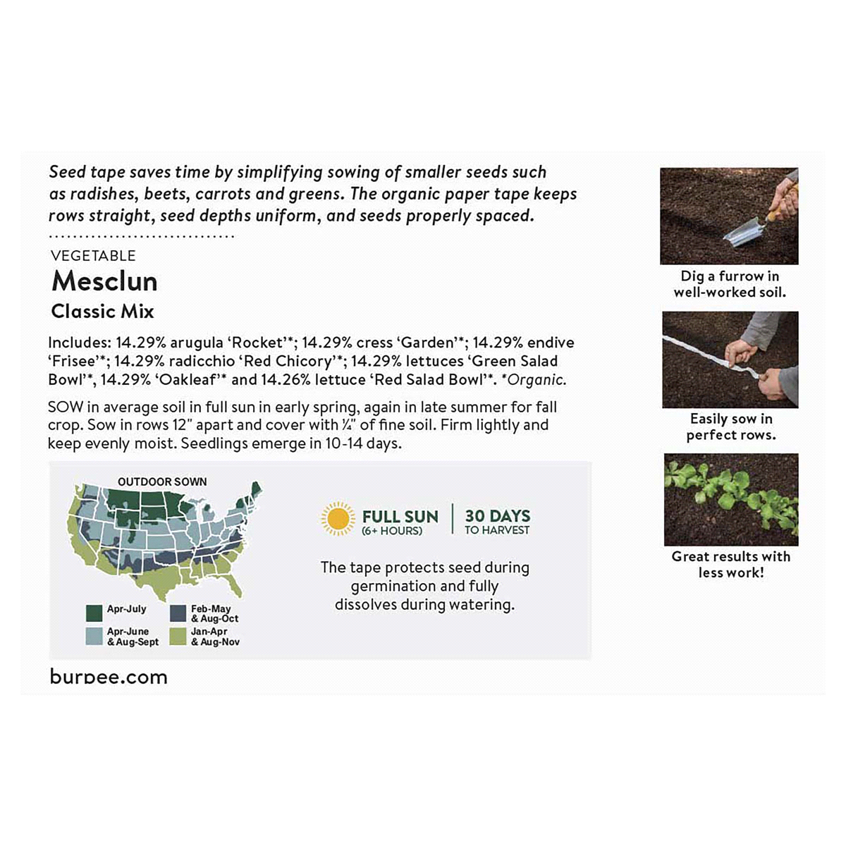 slide 5 of 5, Burpee Mesclun Classic Mix Seeds, 1 ct