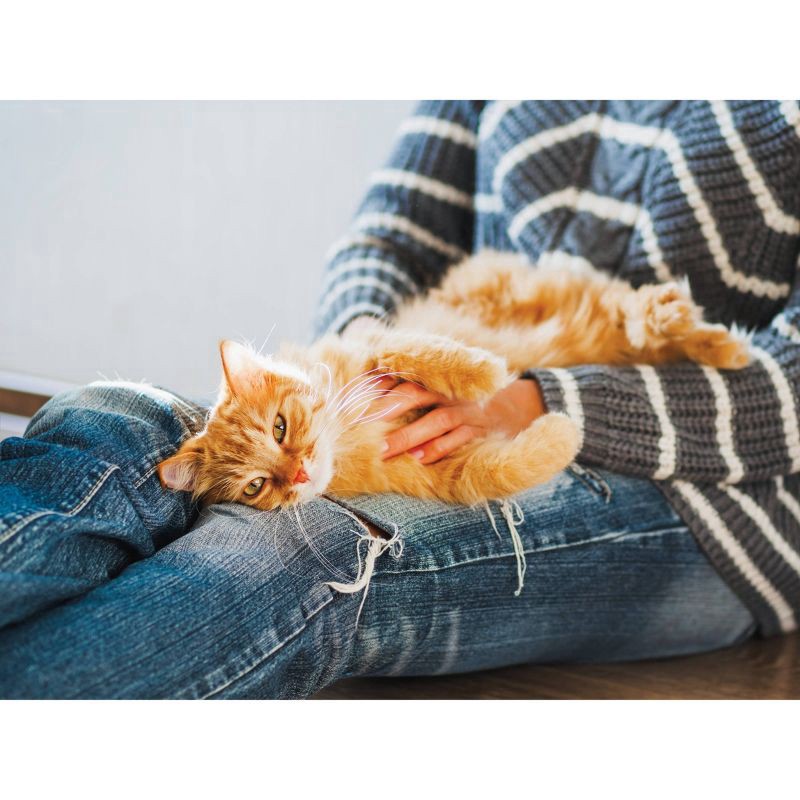 slide 4 of 5, Naturally Fresh Qick Clump, 14 lb