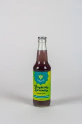 Lively Up Kombucha Tropical Dream - 12 oz