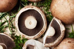 Country Fresh Mushroom