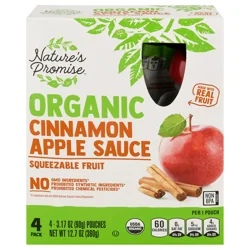 Nature's Promise Organic Cinnamon Apple Sauce Pouches - 4 ct