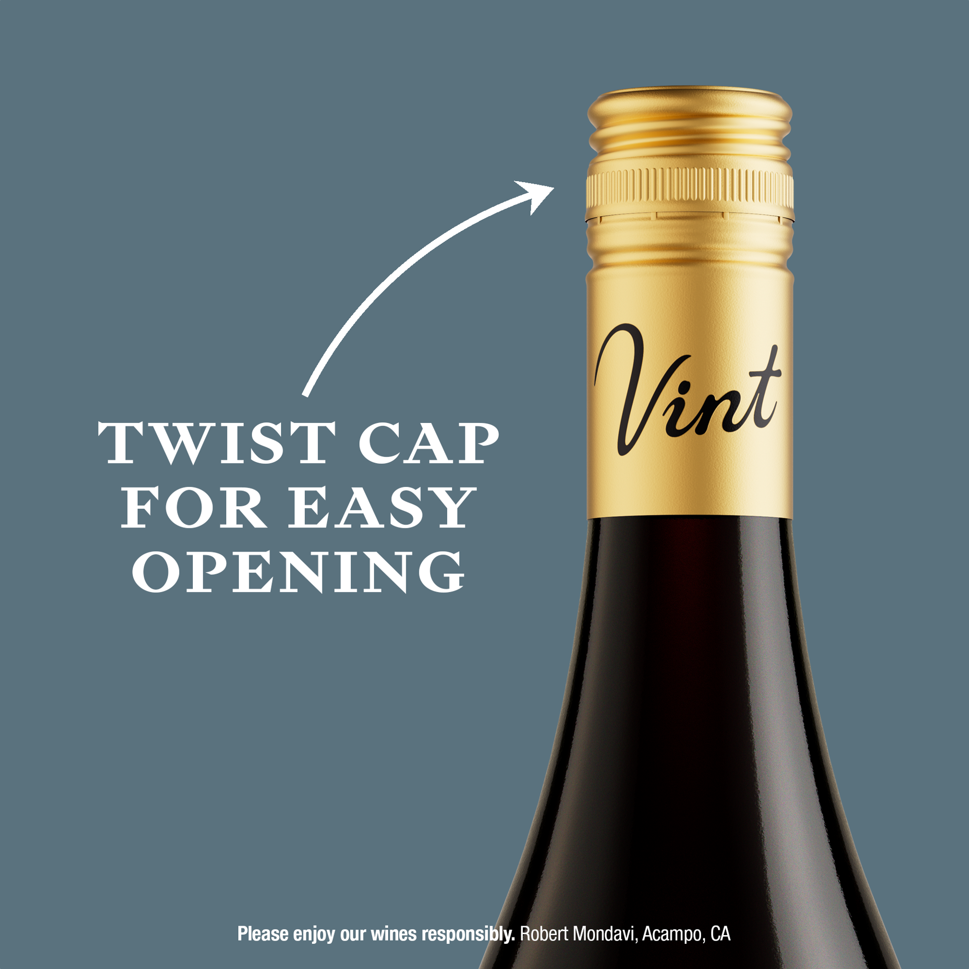 slide 6 of 10, Vint Central Coast Pinot Noir Red Wine, 750ml Bottle, 750 ml