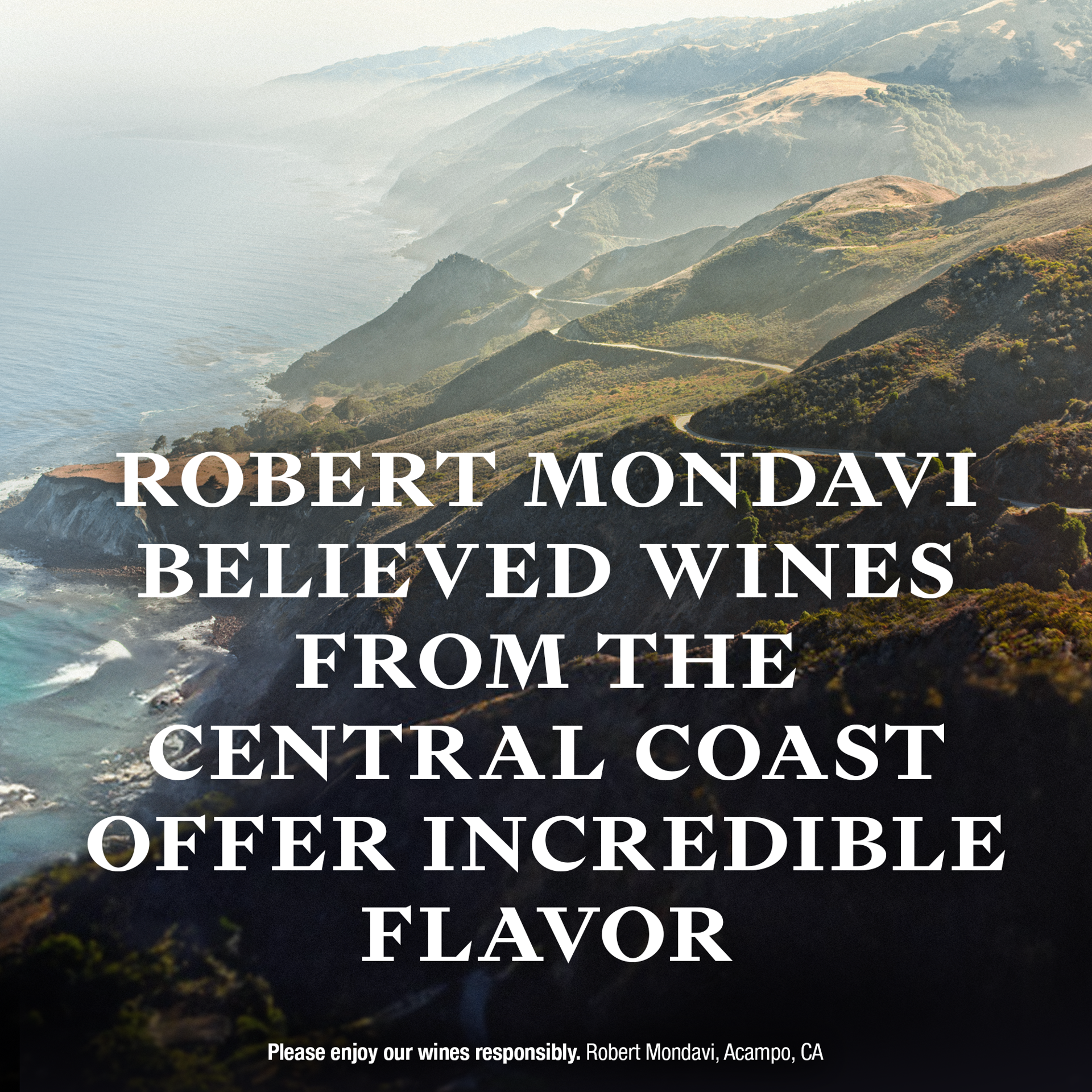 slide 5 of 10, Vint Central Coast Pinot Noir Red Wine, 750ml Bottle, 750 ml