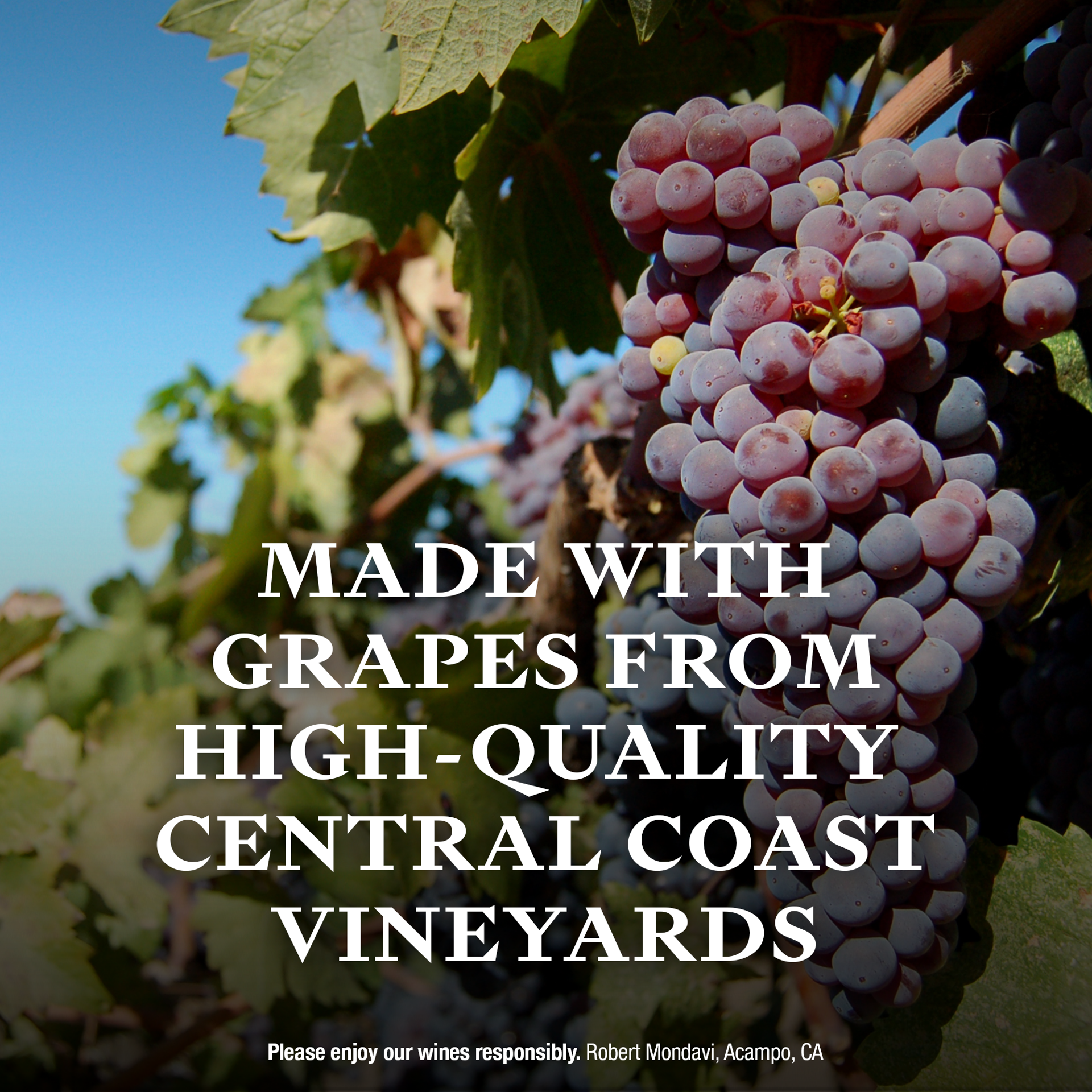 slide 2 of 10, Vint Central Coast Pinot Noir Red Wine, 750ml Bottle, 750 ml