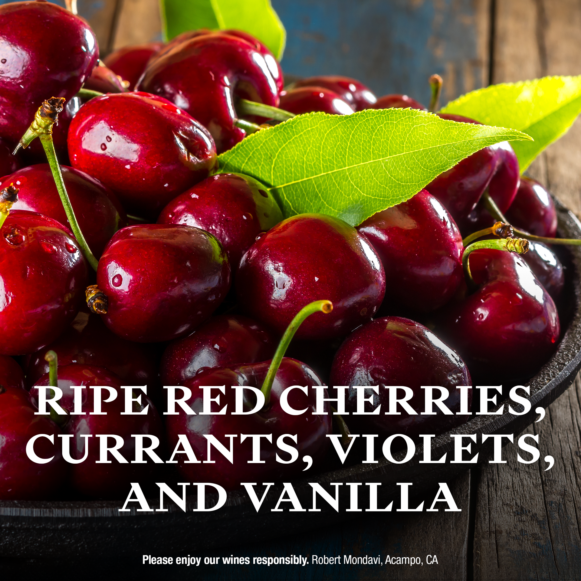 slide 7 of 10, Vint Central Coast Pinot Noir Red Wine, 750ml Bottle, 750 ml