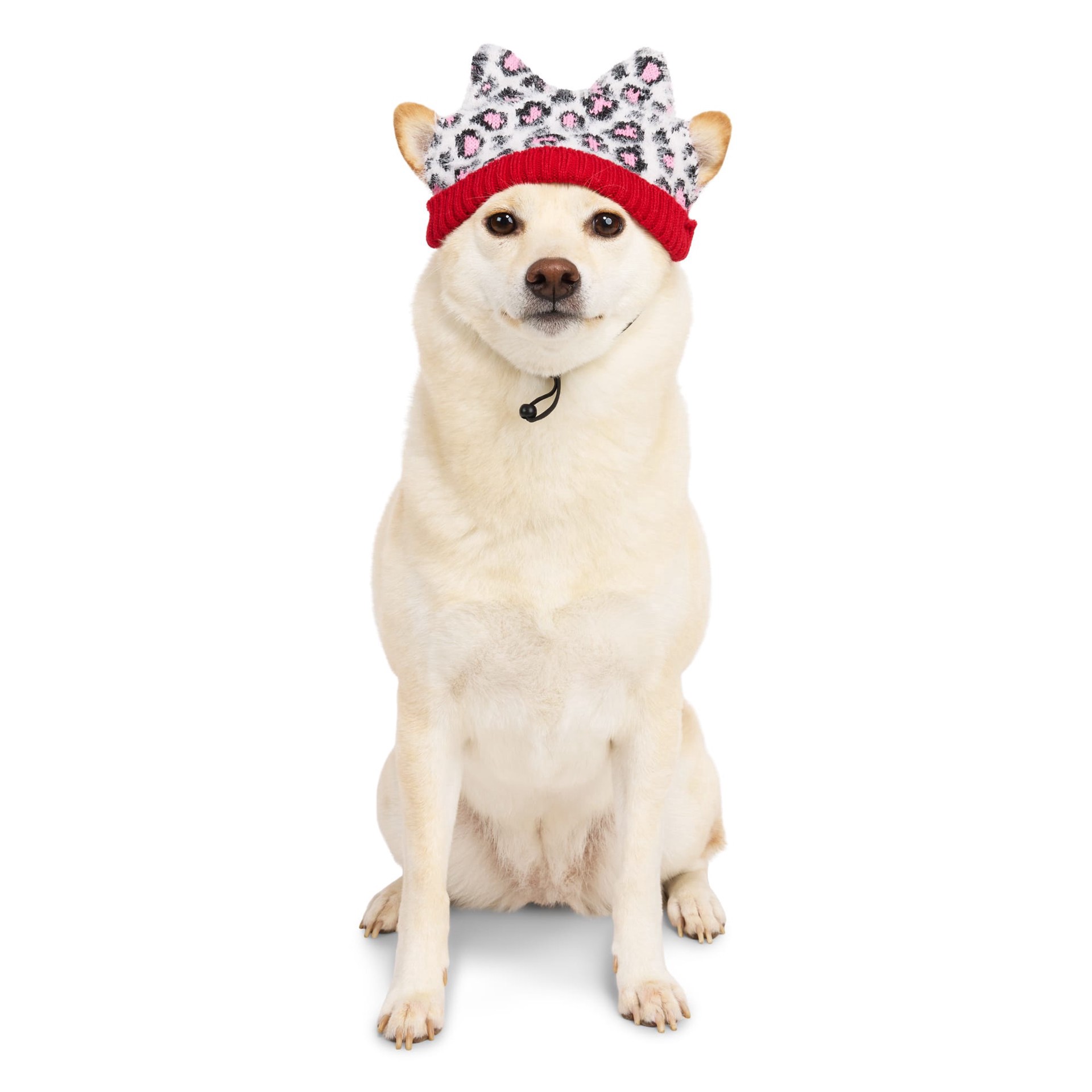 slide 1 of 1, YOULY Leopard Print Dog Hat, Leopard Print, Large/X-Large, 1 ct