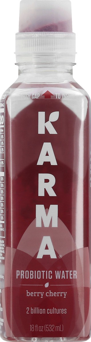 slide 10 of 13, Karma Berry Cherry Probiotic Water - 18 fl oz, 18 fl oz
