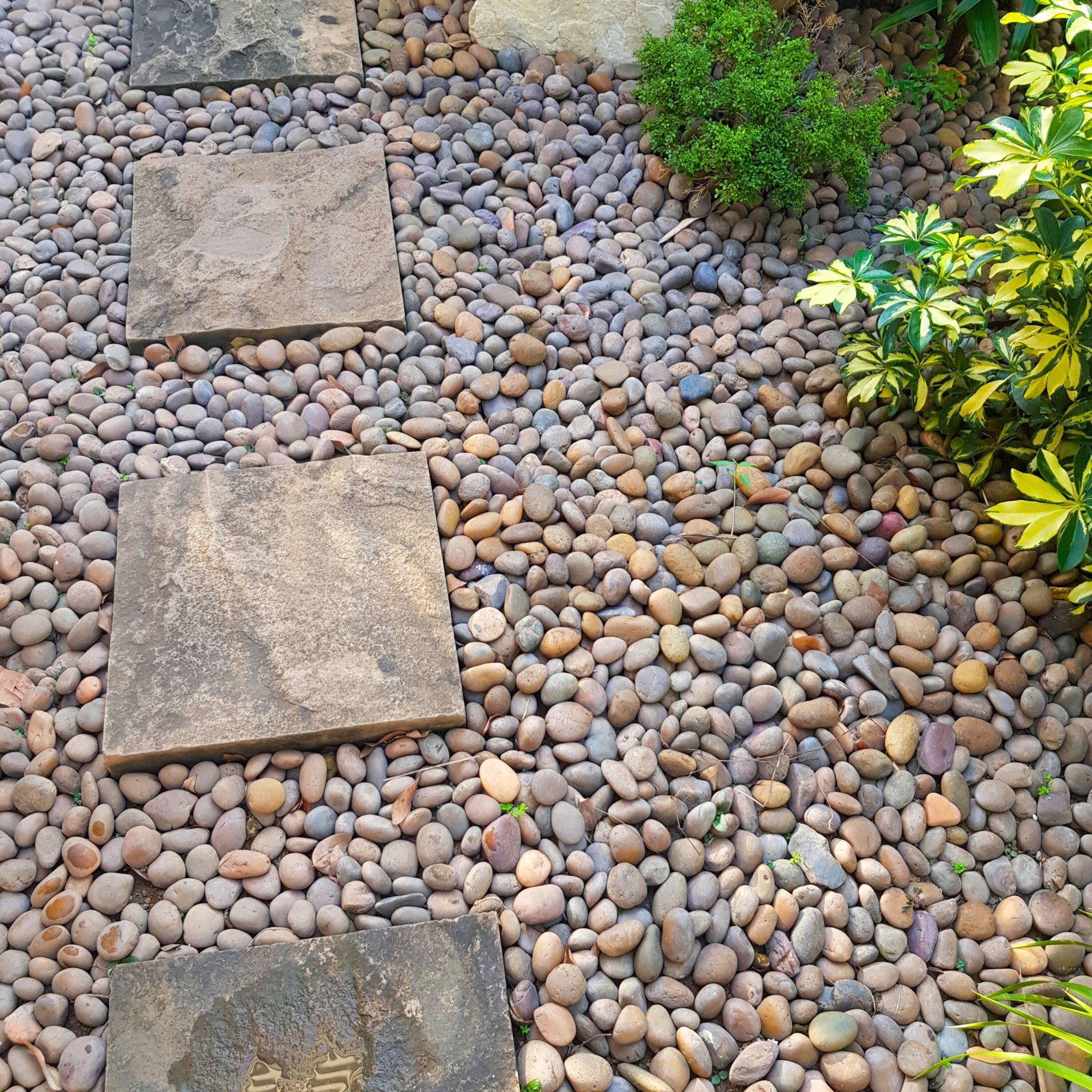 slide 5 of 6, 0.5 cu ft Multicolor River rock (0.5 - 3-in), 1 ct