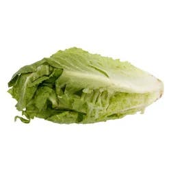 Earth Greens Organic Romaine Heart Leaves