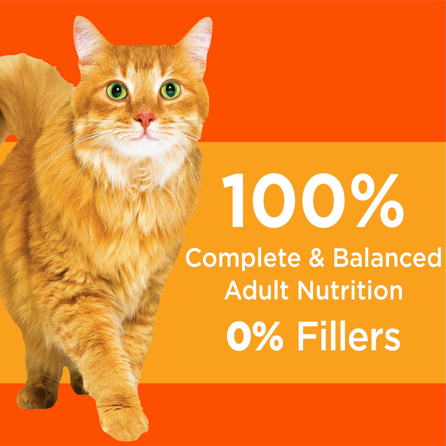 slide 6 of 7, Iams Proactive Health Adult Healthy Dry Cat Food With Chicken Cat Kibble, 7 lb