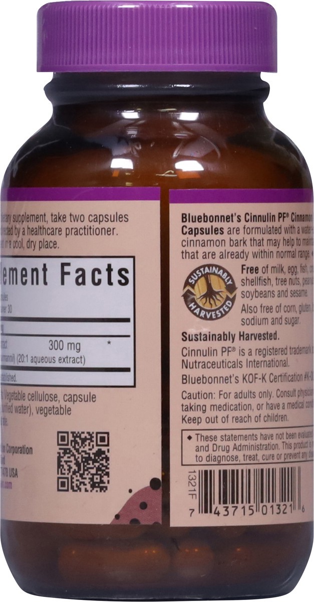 slide 14 of 14, Bluebonnet Nutrition Cinnamon 60 Vegetable Capsules, 60 ct