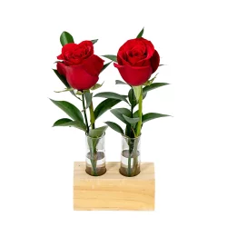 Bloom Haus Double Rose Tube Vase