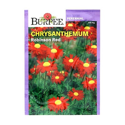 slide 1 of 1, Burpee Chrysantemum, Robinson Red Seeds, 1 ct