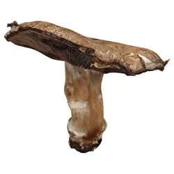 Portabella Mushrooms