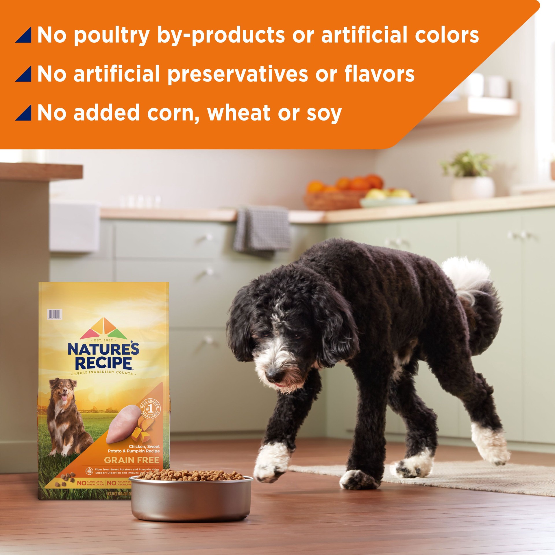 slide 4 of 9, Nature's Recipe Nature''s Recipe Dry Dog Food, Grain Free Chicken, Sweet Potato & Pumpkin Recipe, 12 lb. Bag, 12 lb