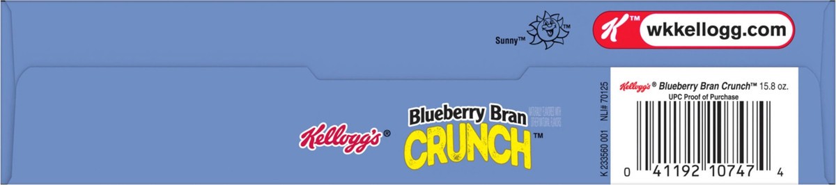 slide 9 of 12, Kelloggs Raisin Bran Blueberry, 15.8 oz