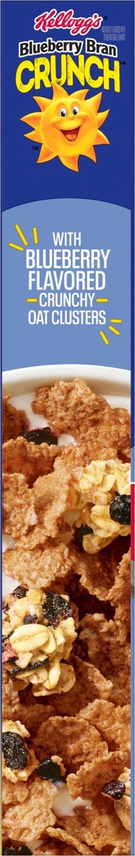 slide 6 of 12, Kelloggs Raisin Bran Blueberry, 15.8 oz