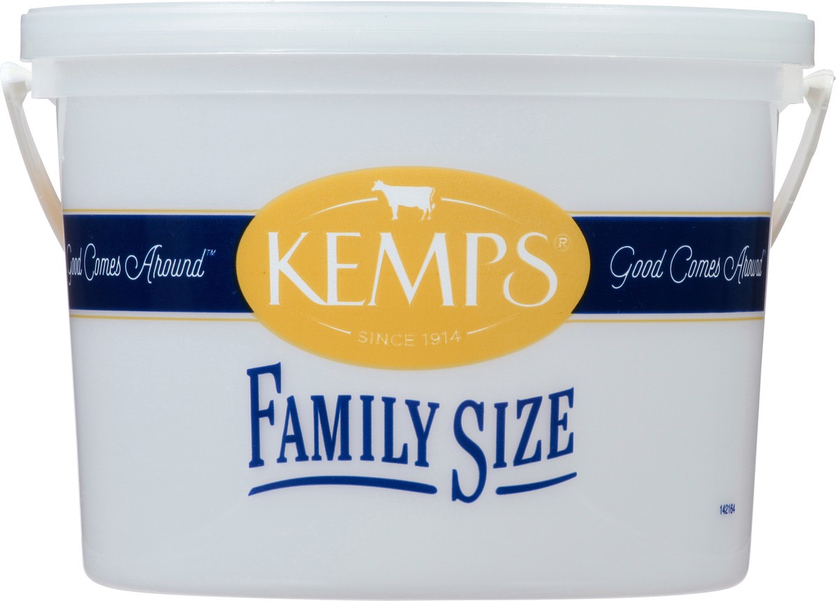 slide 11 of 11, Kemps Chocolate Chip Ice Cream Family Size, 1.03 gal