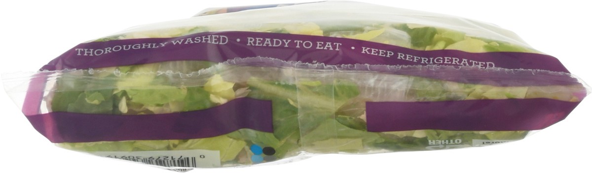 slide 4 of 9, Fresh Express Caesar Chopped Salad Kit, 9.9 oz