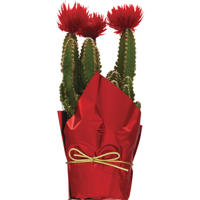 slide 1 of 1, Fairy Castle 2.5", 1 ct