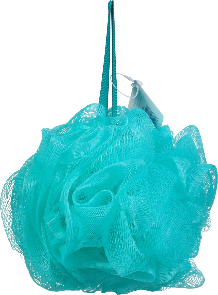 slide 13 of 14, Topcare Sponge Net Aqua, 4 ct