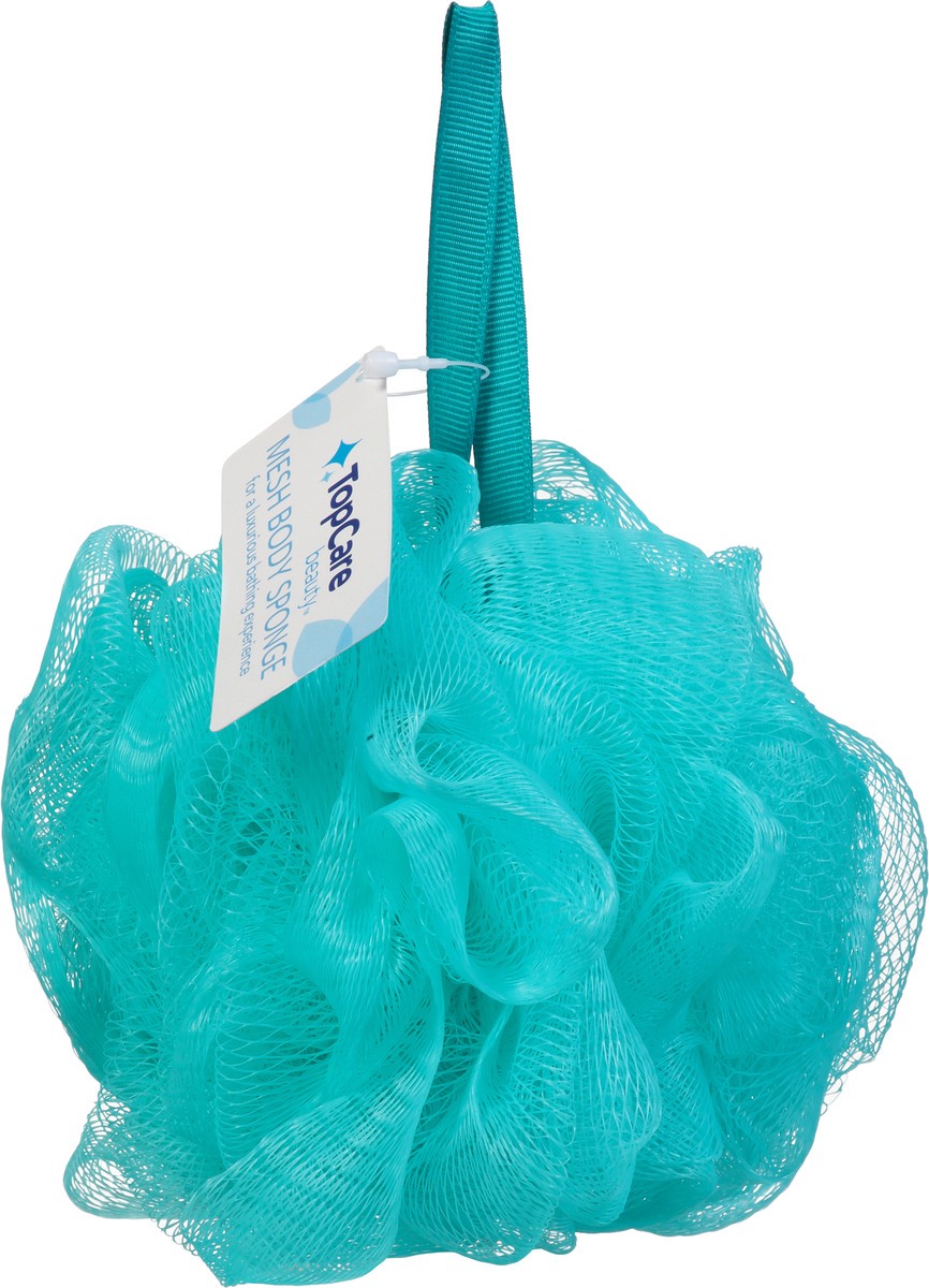 slide 14 of 14, Topcare Sponge Net Aqua, 4 ct