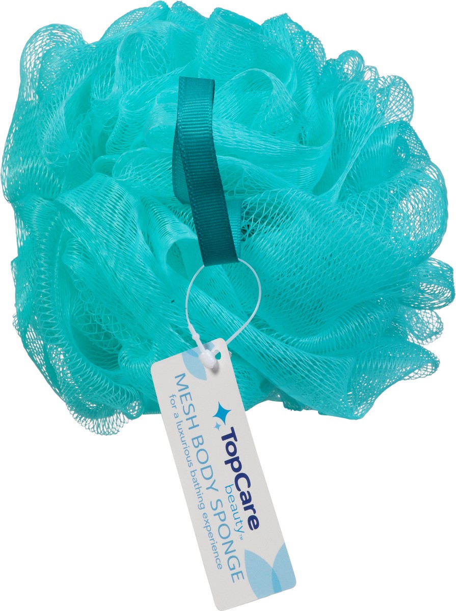 slide 8 of 14, Topcare Sponge Net Aqua, 4 ct