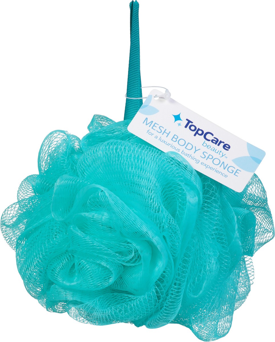 slide 11 of 14, Topcare Sponge Net Aqua, 4 ct