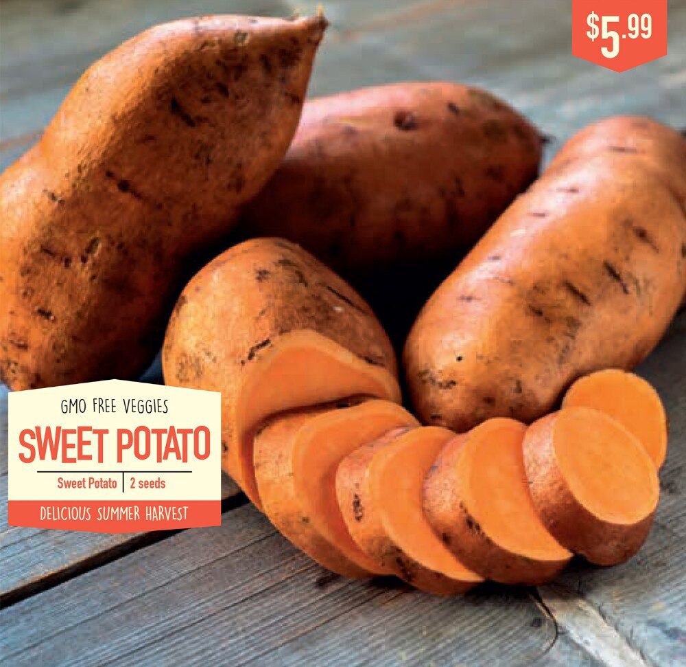 slide 1 of 1, Garden State Bulb Covington Potato Seeds, 2 ct